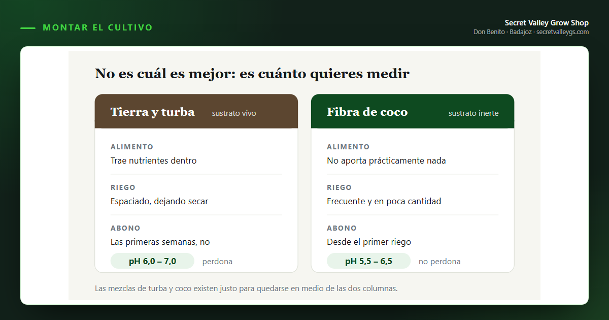 Fibra de coco o tierra: cuál te conviene y por qué