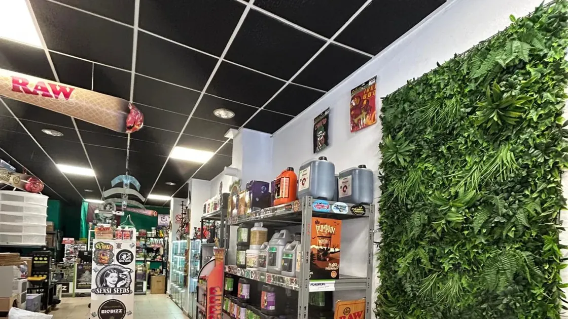 Pasillo del local con una pared vegetal a la derecha, estanterías de fertilizantes y expositores de bancos de semillas al fondo